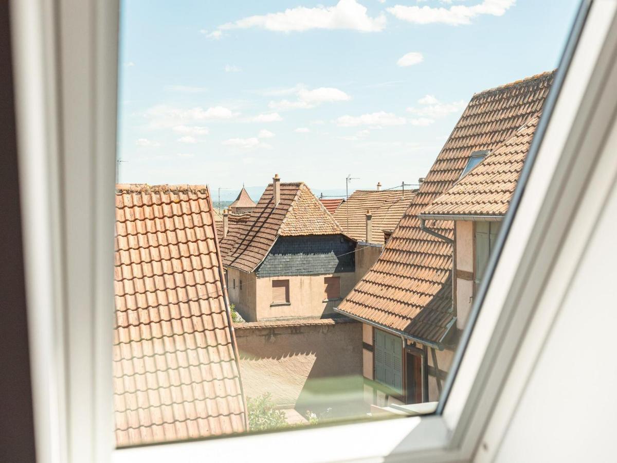 Charming Gite In Dambach La Ville With Terrace 외부 사진