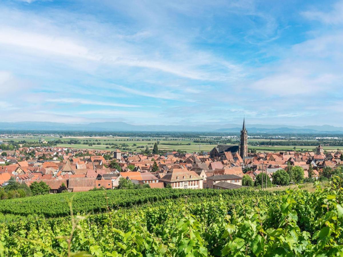 Charming Gite In Dambach La Ville With Terrace 외부 사진